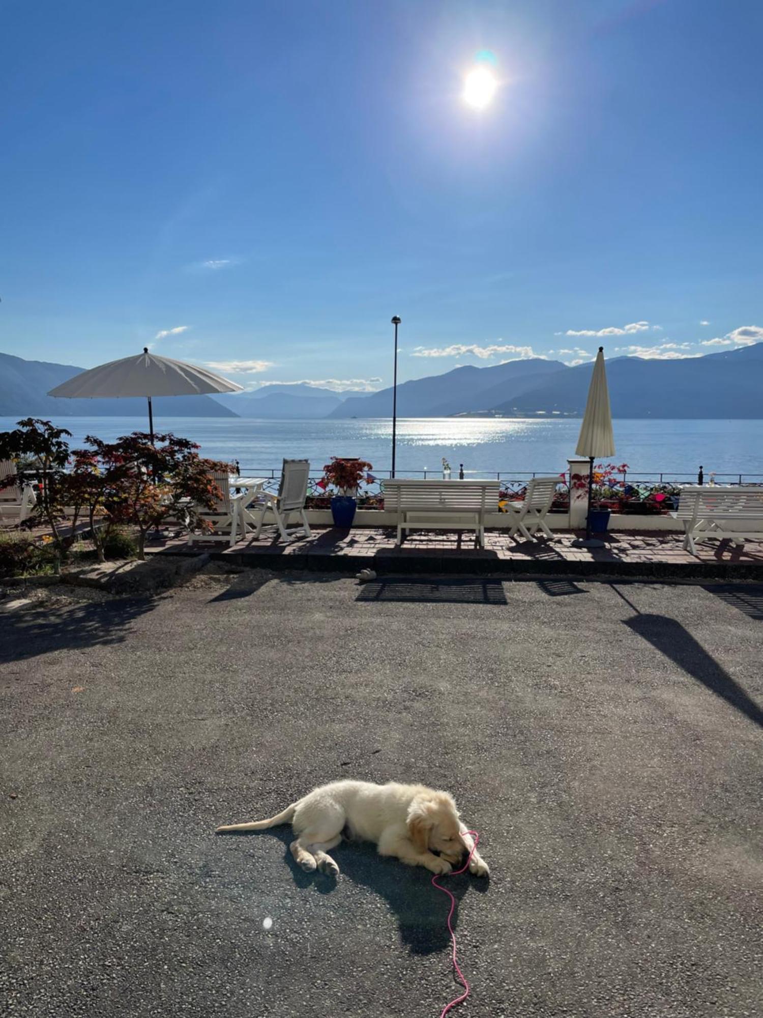 Balestrand Hotel Exterior photo